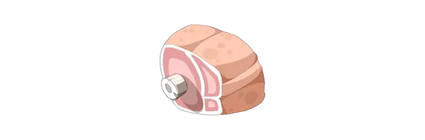 Dofus Retro