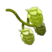 kamas dofus retro